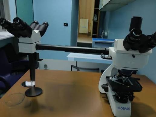 شعبة التشريح المرضي